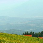 L’agnello d’Alpago presidio Slow Food a marchio di garanzia
