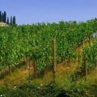 Il trekking del Franciacorta