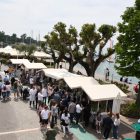 Olivum: Bardolino celebra l’Olio extravergine Dop