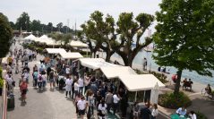 Olivum: Bardolino celebra l’Olio extravergine Dop