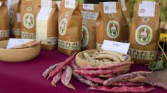 Lamon. “A tavola nel feltrino: il fagiolo”